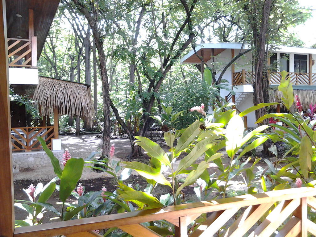 Mamma Rosa Aparthotel Playa Guiones Ngoại thất bức ảnh