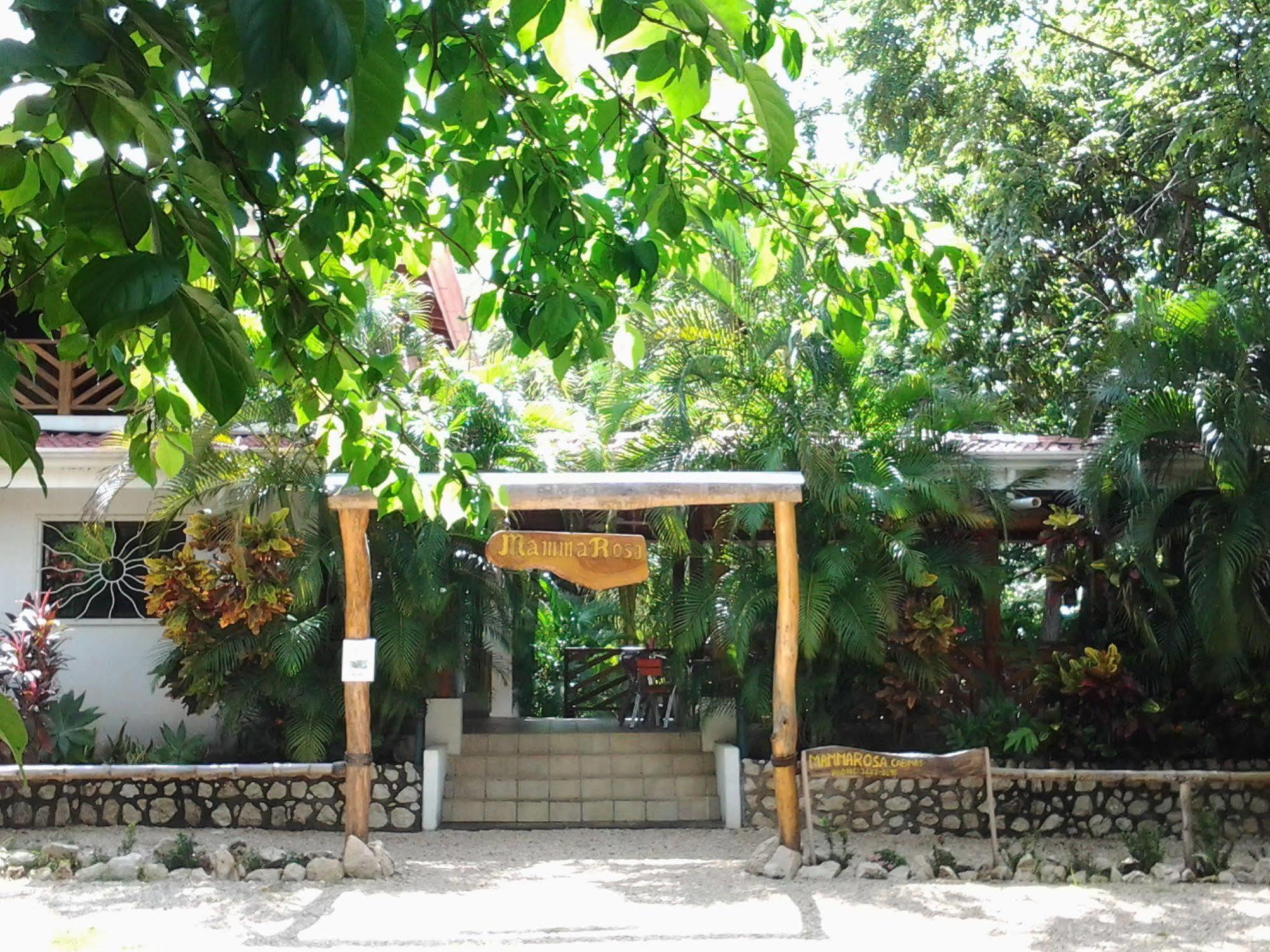 Mamma Rosa Aparthotel Playa Guiones Ngoại thất bức ảnh